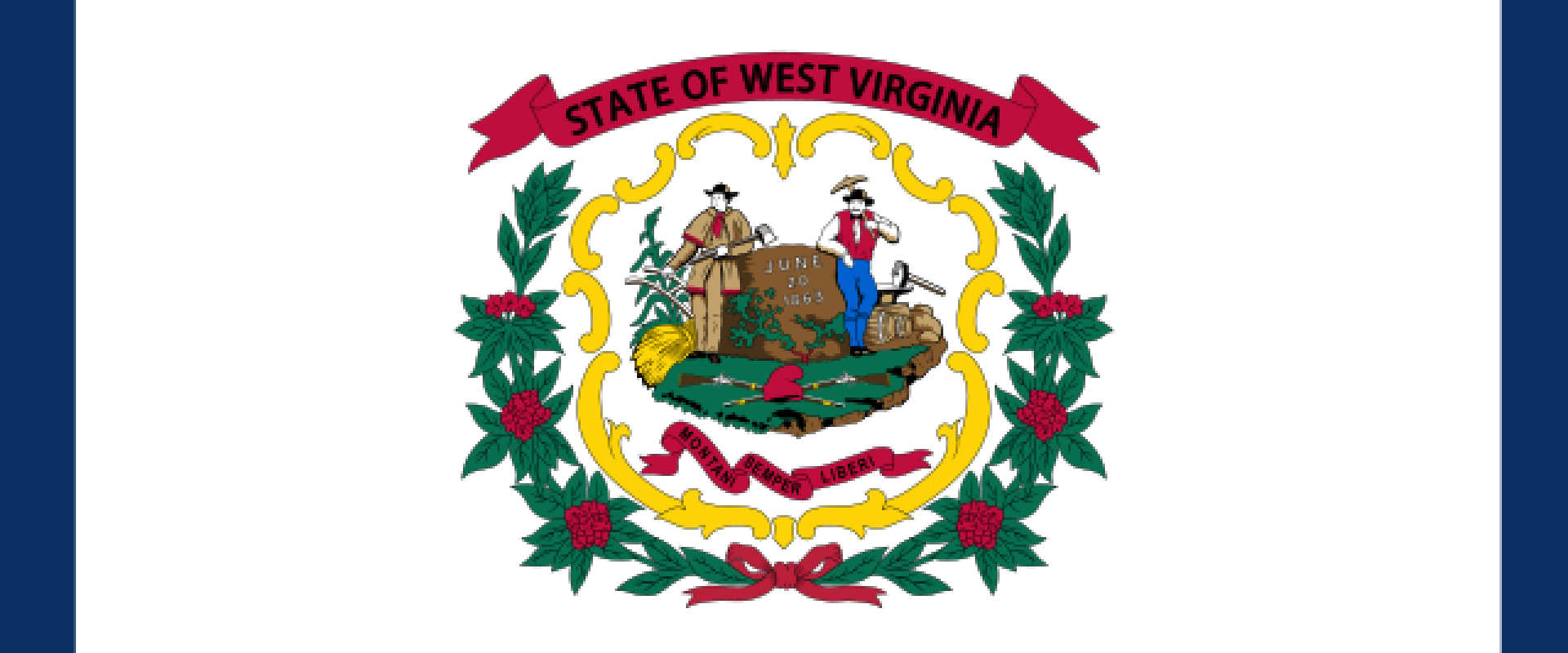 State Flag